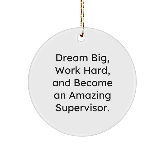 Funny Supervisor Gifts from Friends for Men, Christmas Unique Circle Ornaments with Inspirational Quotes for Women, Coworkers, Family - Dream Big - White Circle Shaped MDF - Image 1