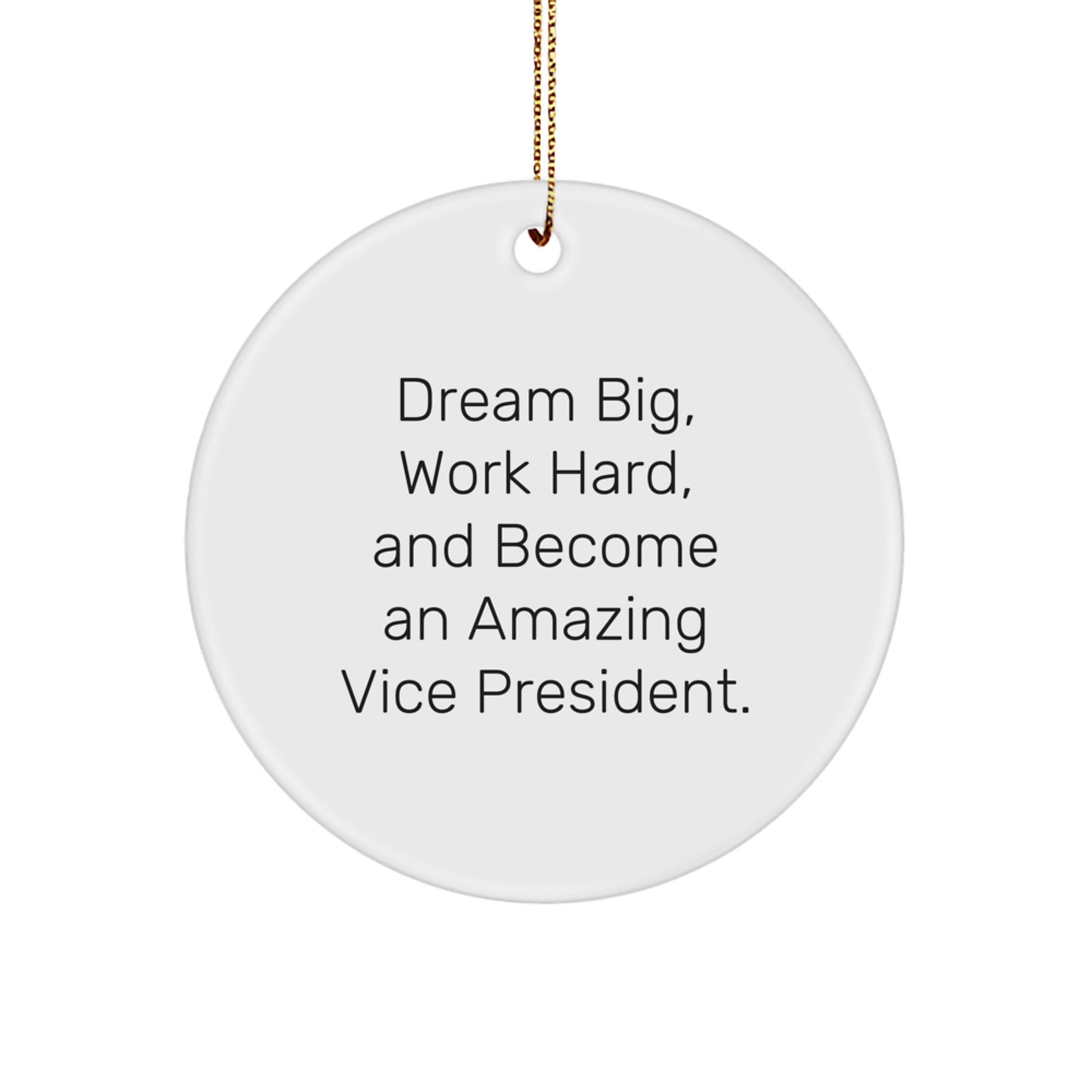 Vice President Gifts from Friends, Funny Motivational Quote, Unique Circle Ornament for Christmas Unique Gifts - Image 1