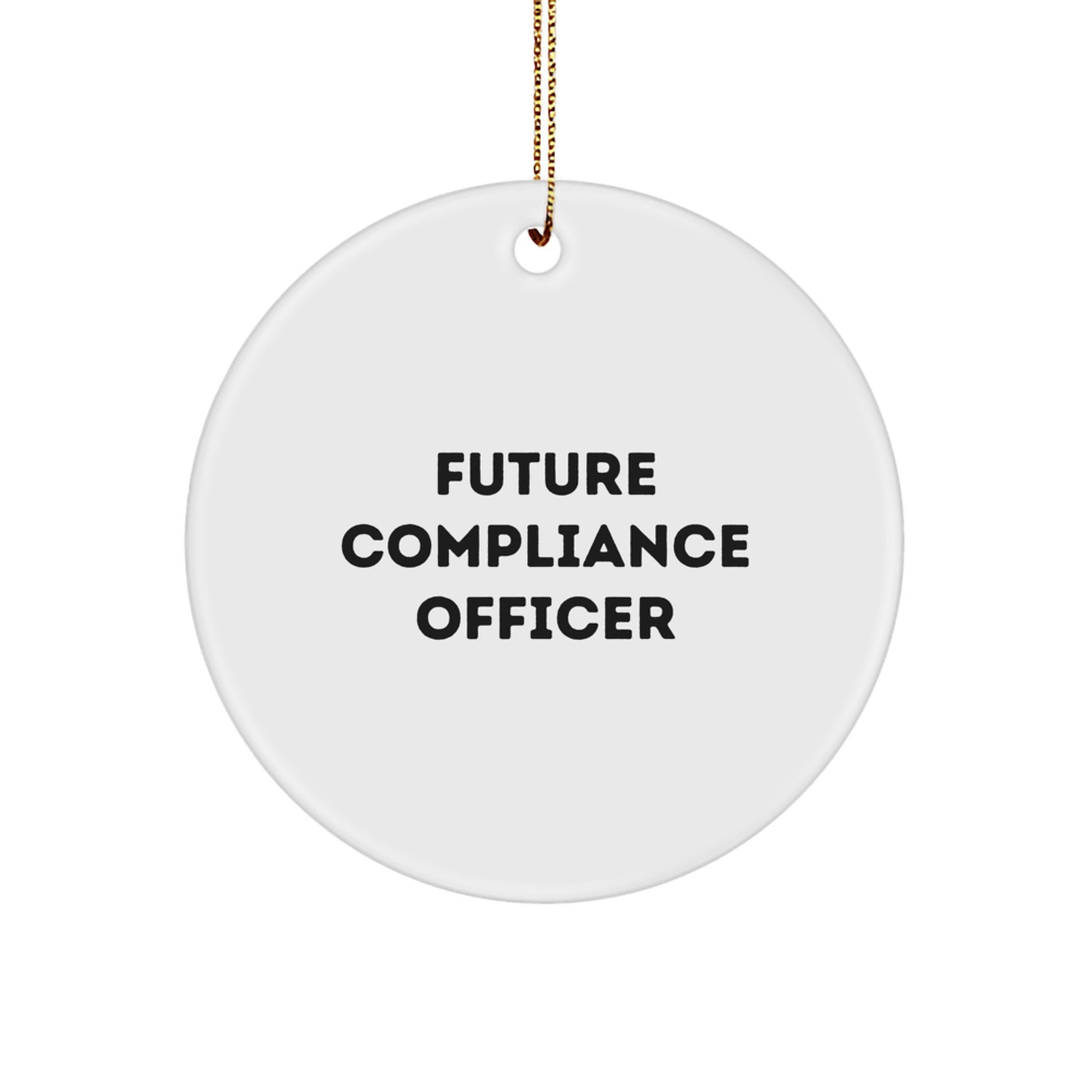 Funny Future Compliance Officer Gift, Compliance Officer Circle Ornament, 'You are the Future' Quote, Christmas Unique Gifts from Friends - Image 1