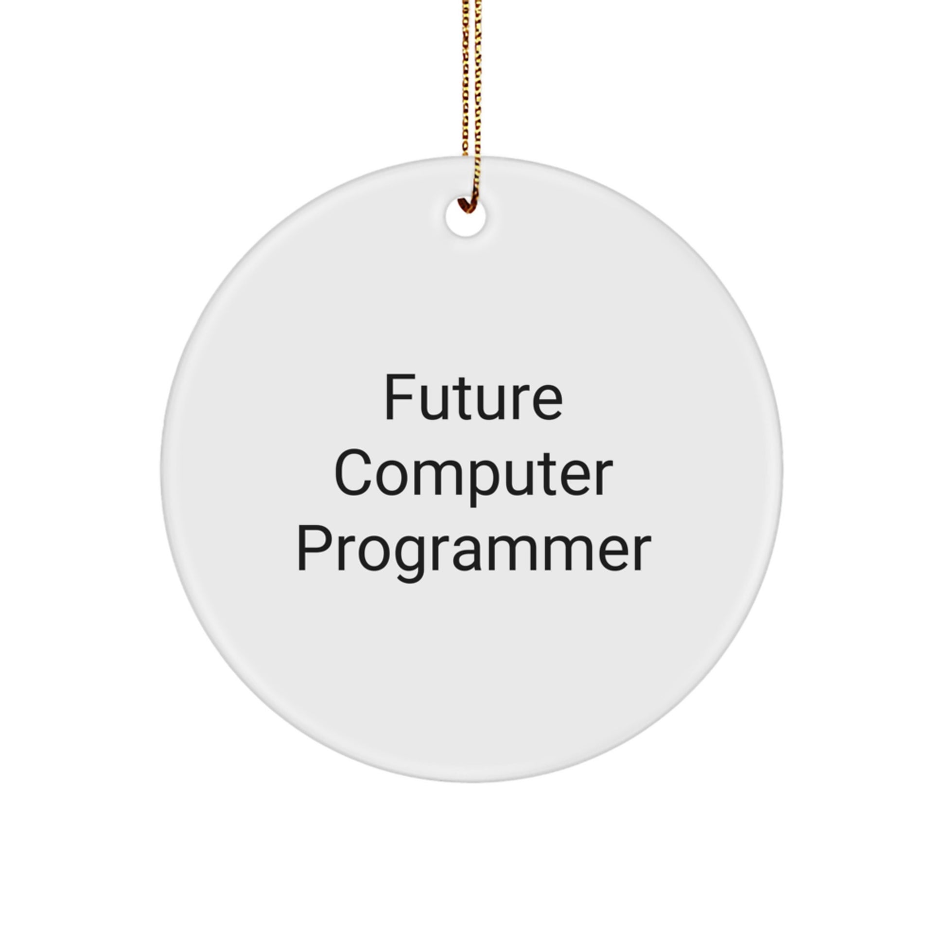 Funny Computer Programmer Inspirational Quote Circle Ornament Gifts from Family for Future Computer Programmer at Christmas - Image 1