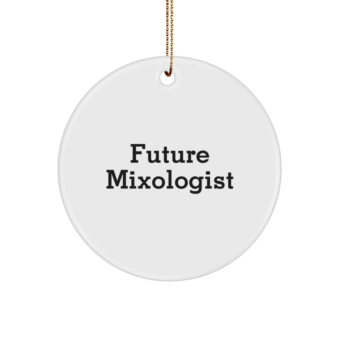 Funny Future Mixologist Gifts for Him Her Friends - Circle Ornament with Inspirational Quote, Perfect Christmas Unique Gifts from Family Coworkers - Image 1