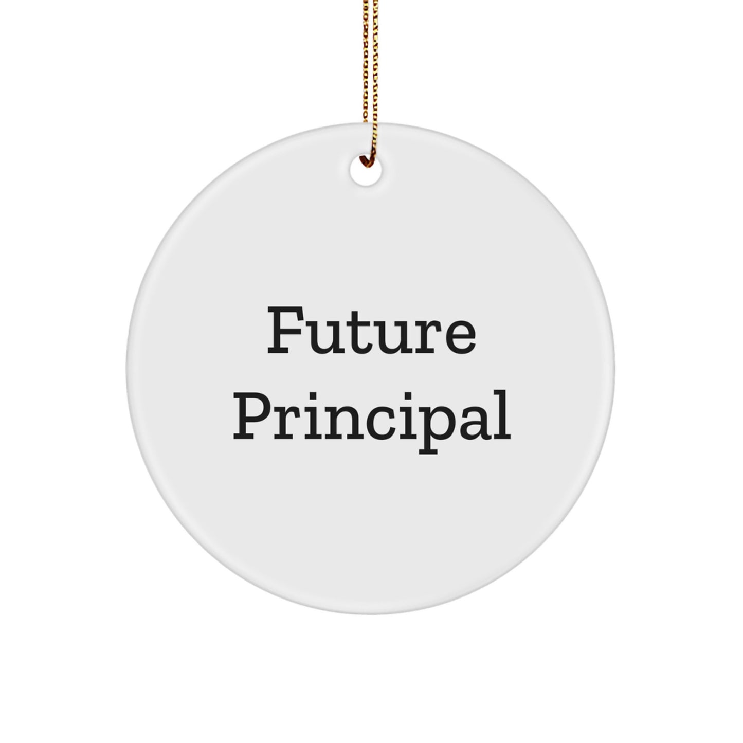 Funny Future Principal Christmas Circle Ornament Gifts from Friends and Family for Teachers and Educators - Image 1