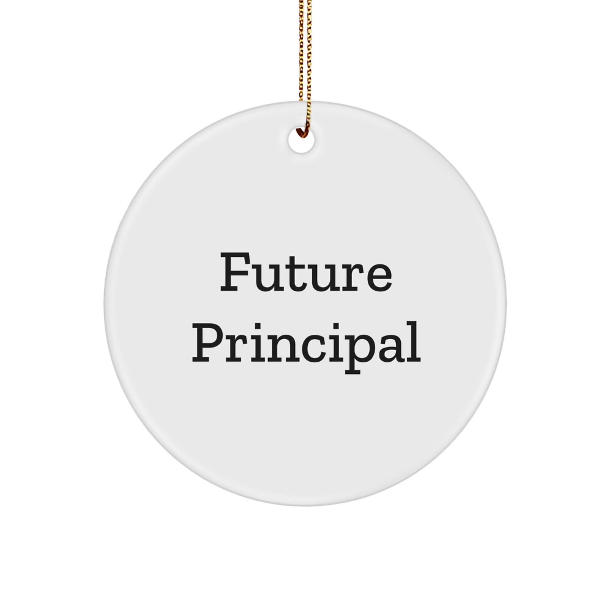 Funny Future Principal Christmas Circle Ornament Gifts from Friends and Family for Teachers and Educators - Image 1