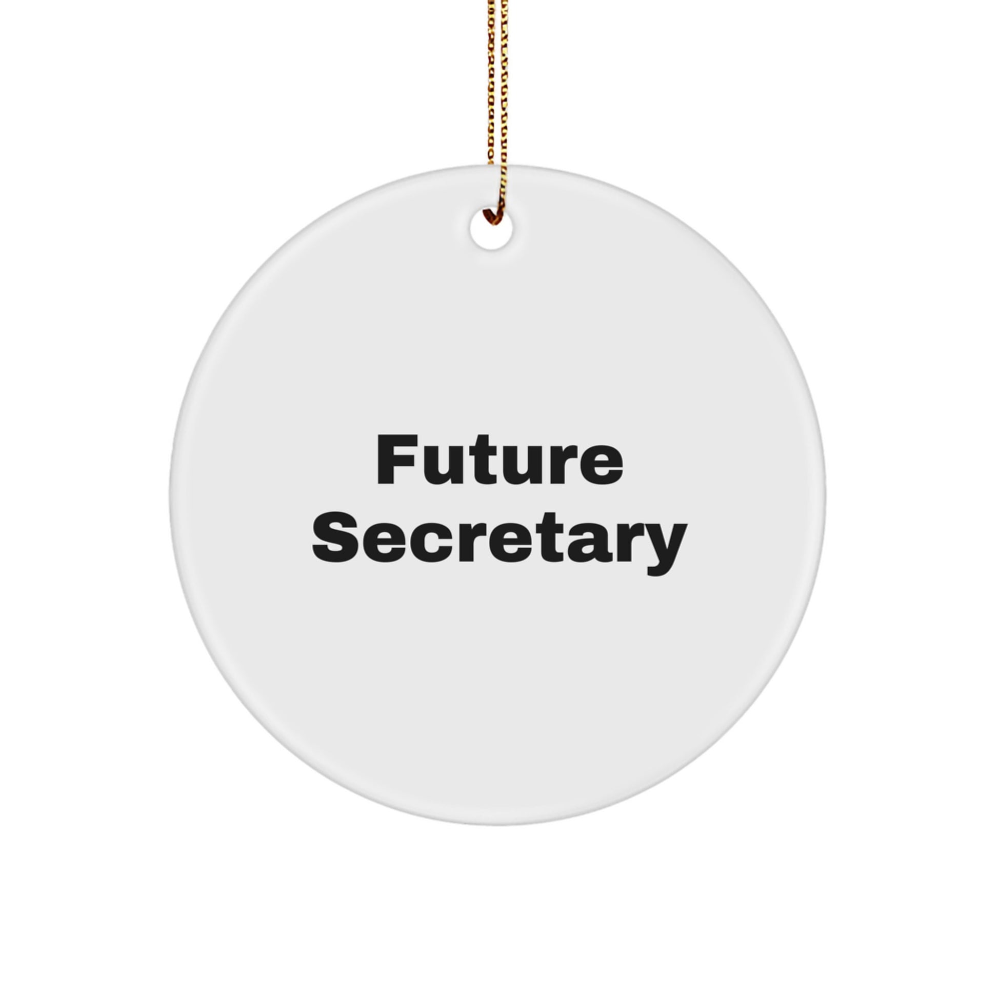 Funny Future Secretary Quotes Circle Ornament Gifts from Friends to Secretary, Secretary Gifts for Christmas - Image 1