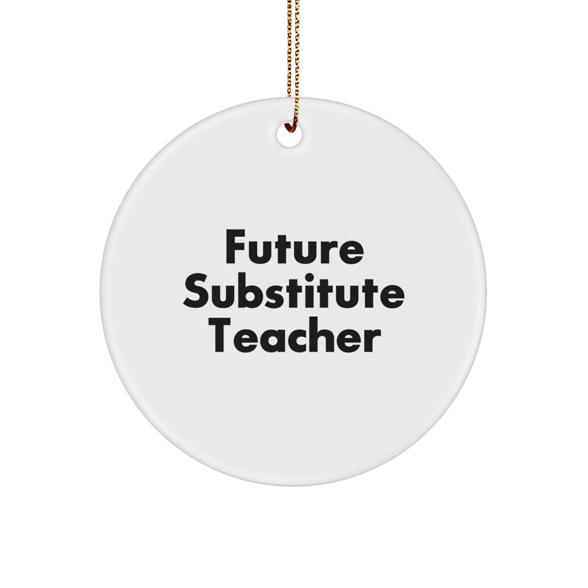 Funny Future Substitute Teacher Christmas Unique Gifts for Men from Family - 'You're the Best' Circle Ornament - Image 1