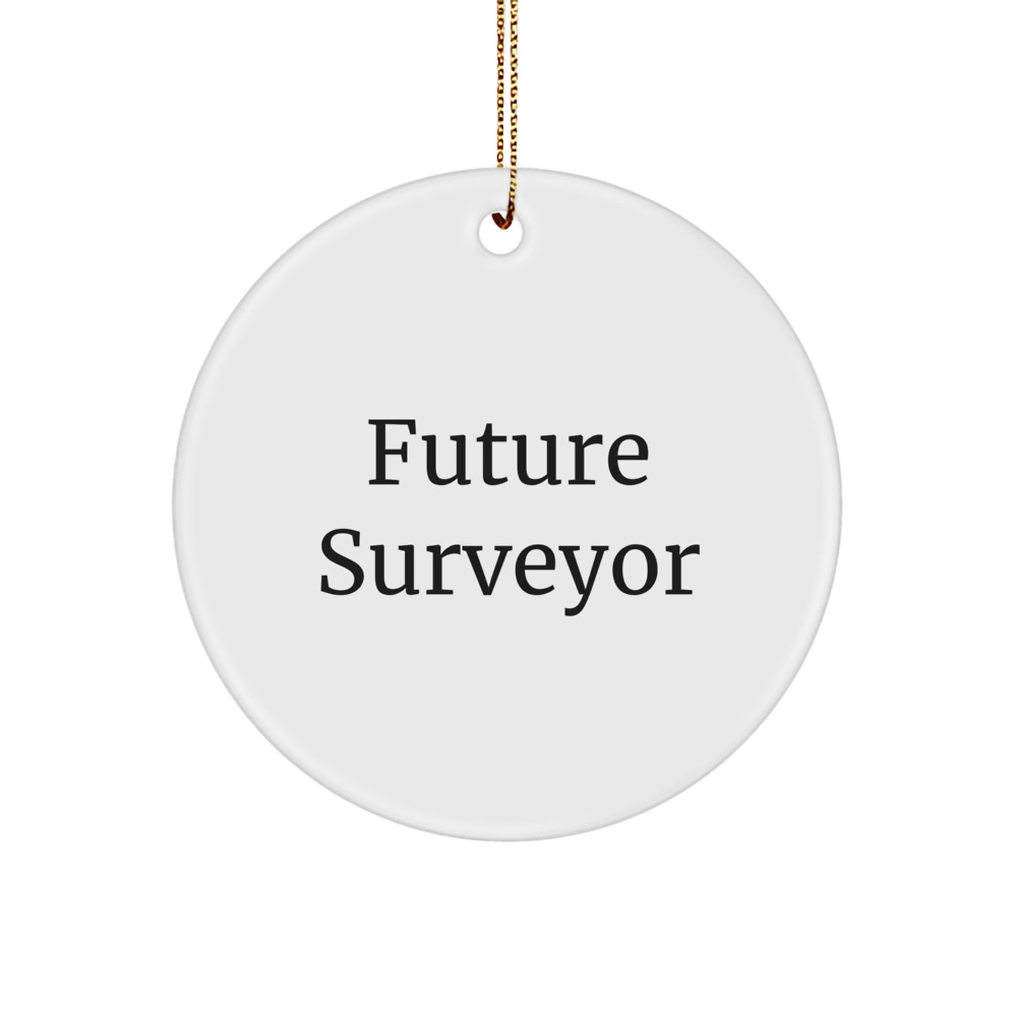 Funny Future Surveyor Circle Ornament Gifts from Friends for Christmas - Image 1