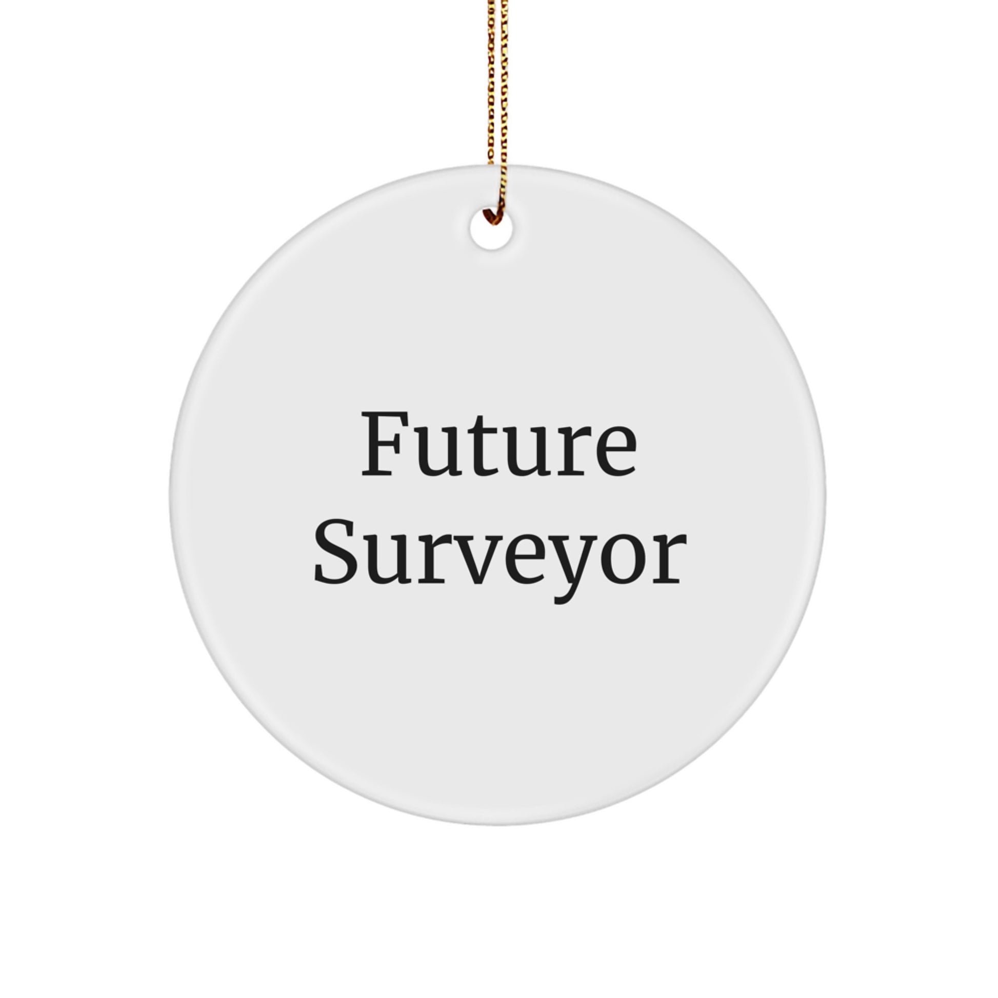 Funny Future Surveyor Circle Ornament Gifts from Friends for Christmas - Image 1