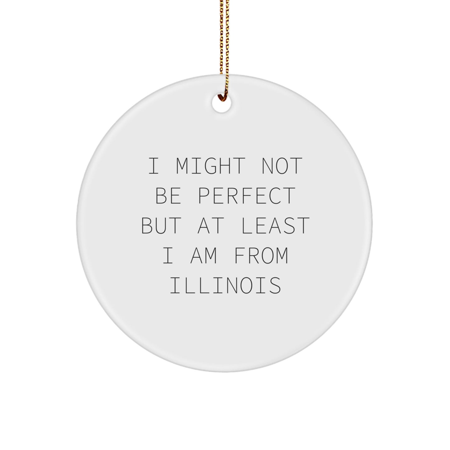 Funny Illinois Circle Ornament - Gifts from Friends for Men Women Family - Christmas Unique Decorations - Image 1