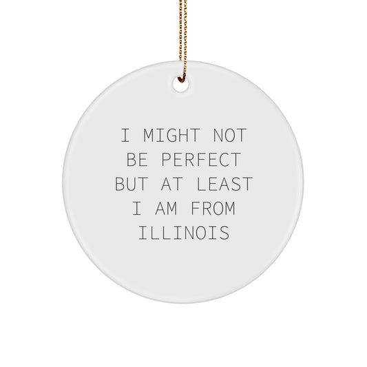 Funny Illinois Circle Ornament - Gifts from Friends for Men Women Family - Christmas Unique Decorations - Image 1