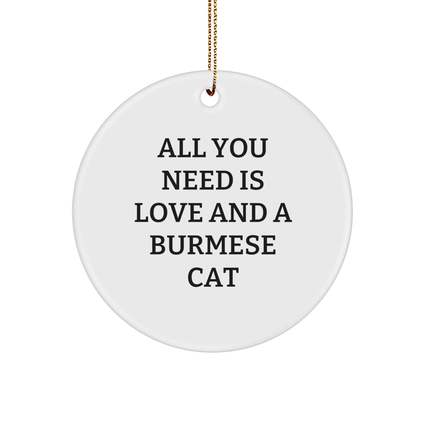 Funny Burmese Cat Circle Ornament Gifts from Men to Friends for Christmas Unique - Image 1