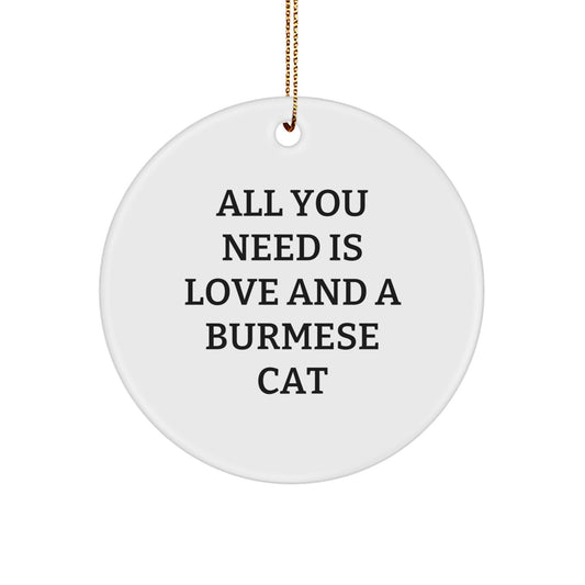Funny Burmese Cat Circle Ornament Gifts from Men to Friends for Christmas Unique - Image 1