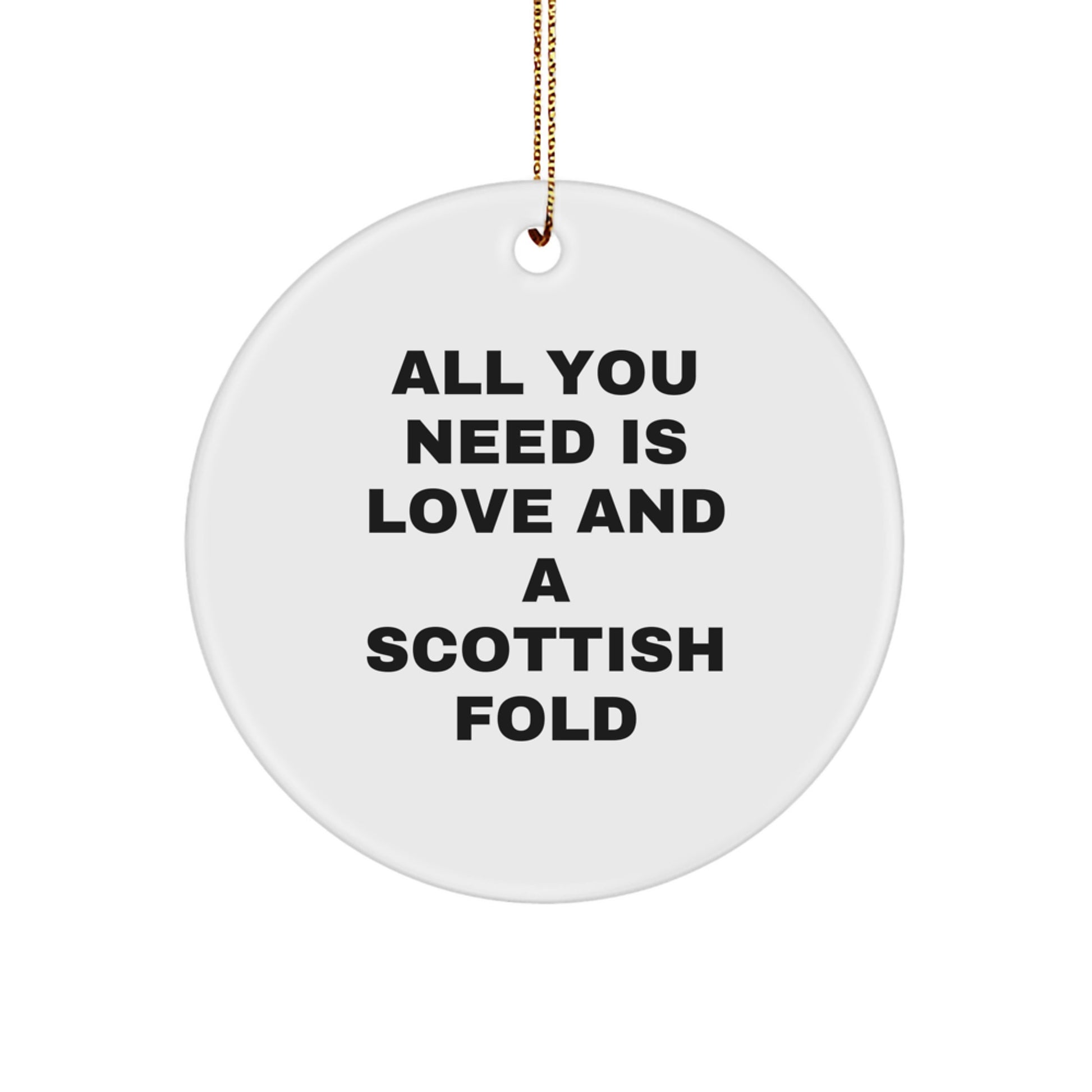 Scottish Fold Cat Circle Ornament Gifts from Friends for Christmas Unique Presents - Image 1