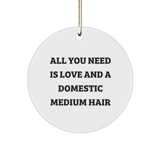 Funny Domestic Medium Hair Gifts for Women, Circle Ornament with 'All You Need Is Love And A Domestic Medium Hair' Quote, Perfect for Christmas Unique Gifts from Friends - Image 1
