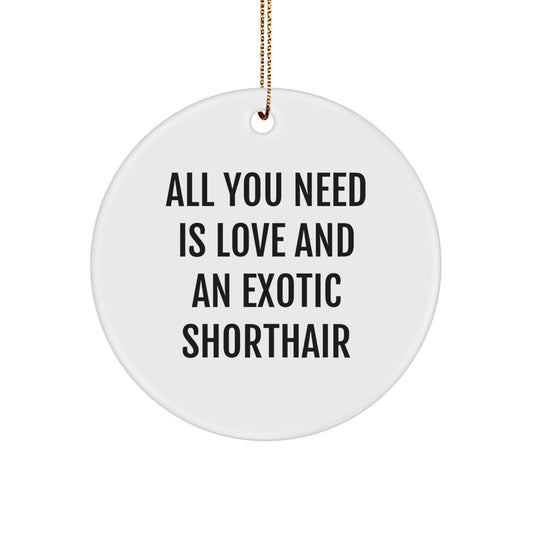 Exotic Shorthair Cat Lover's Gift, 'All You Need Is Love And An Exotic Shorthair', Circle Ornament, White, Christmas Unique Gifts from Family - Image 1