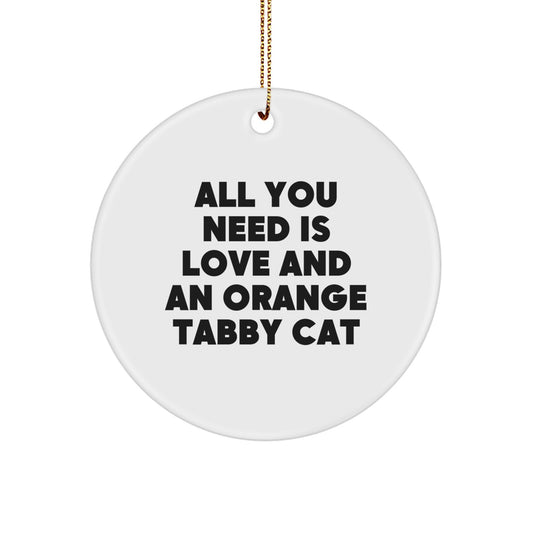 Orange Tabby Cat Circle Ornament Gifts from Friends for Christmas - Image 1