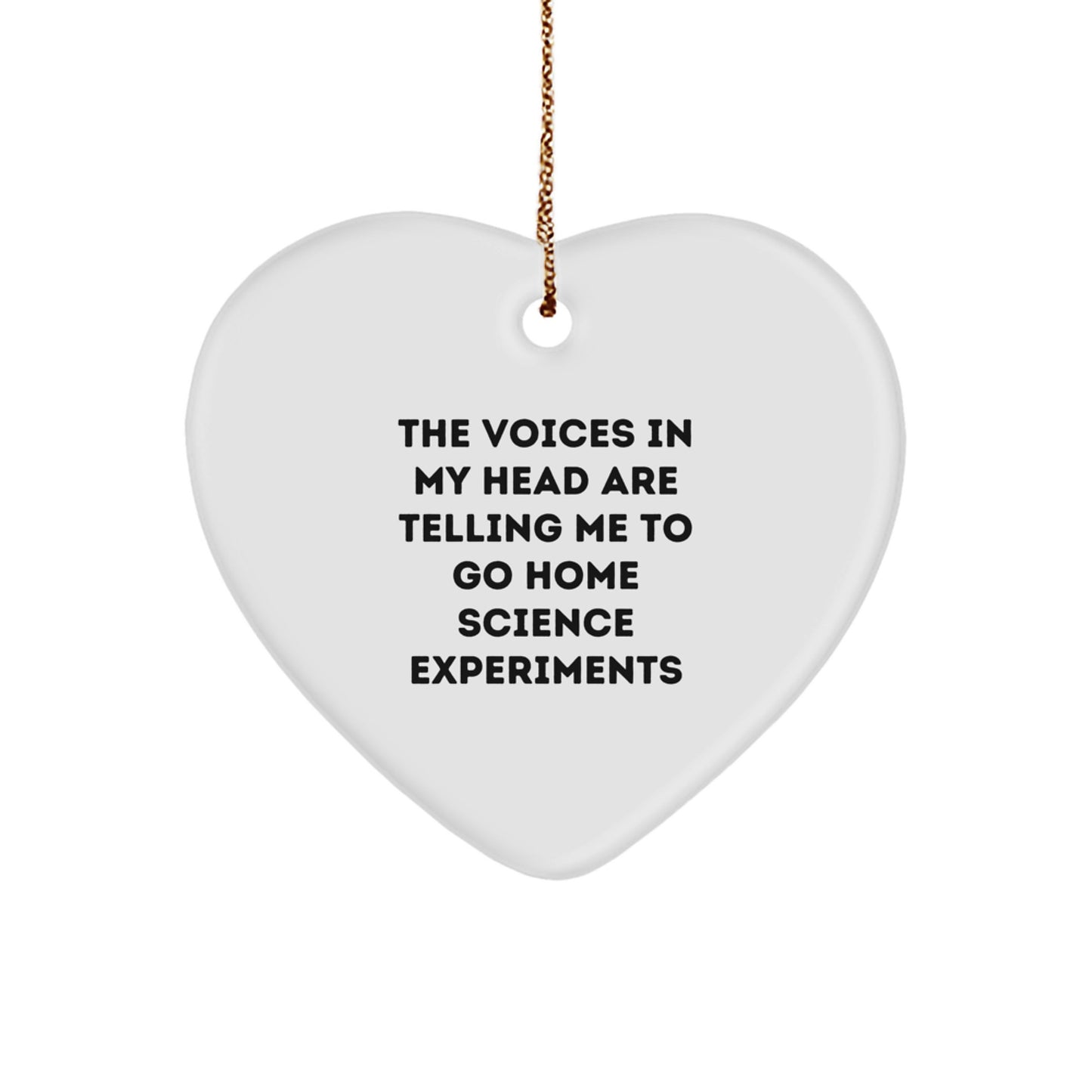 Funny Home Science Experiments Heart Ornament Gifts from Friends for Christmas, The Voices In My Head Are Telling Me To Go Home Science Experiments, Heart Ornament for Men and Women - Image 1
