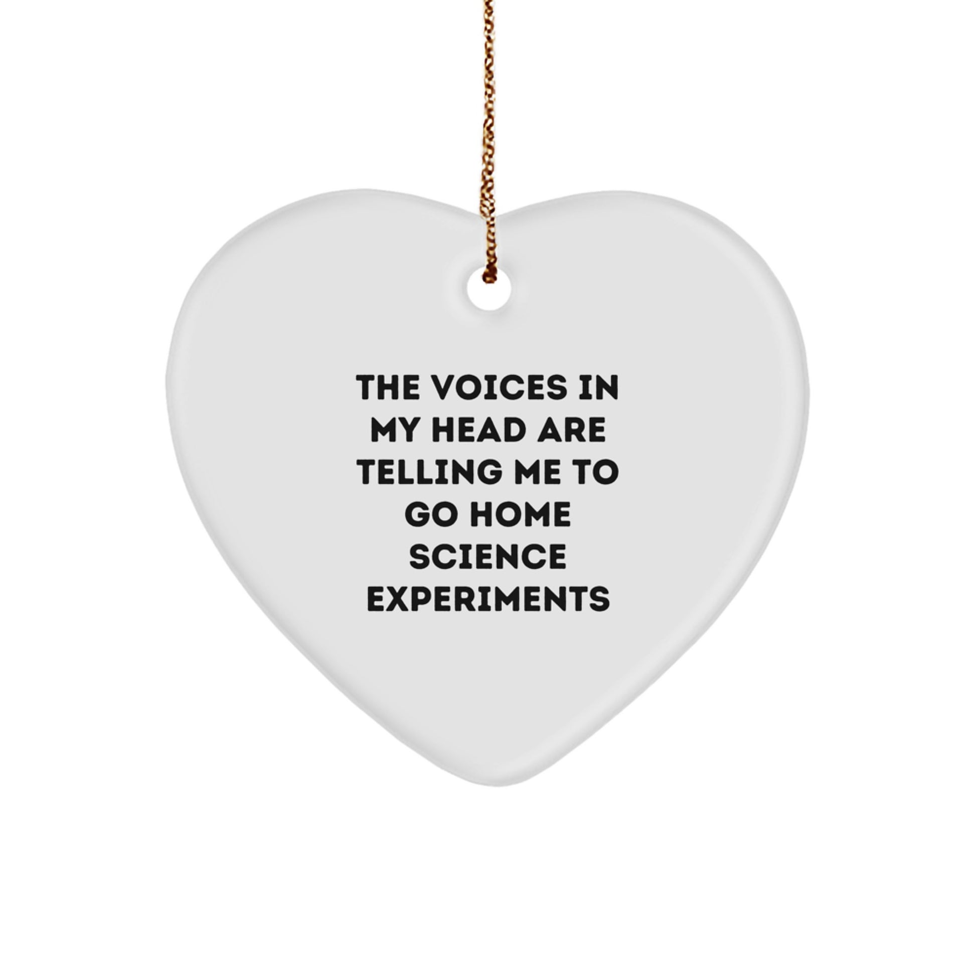 Funny Home Science Experiments Heart Ornament Gifts from Friends for Christmas, The Voices In My Head Are Telling Me To Go Home Science Experiments, Heart Ornament for Men and Women - Image 1