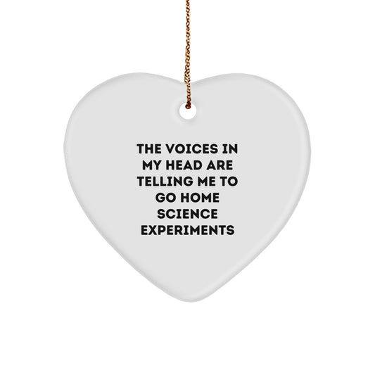 Funny Home Science Experiments Heart Ornament Gifts from Friends for Christmas, The Voices In My Head Are Telling Me To Go Home Science Experiments, Heart Ornament for Men and Women - Image 1