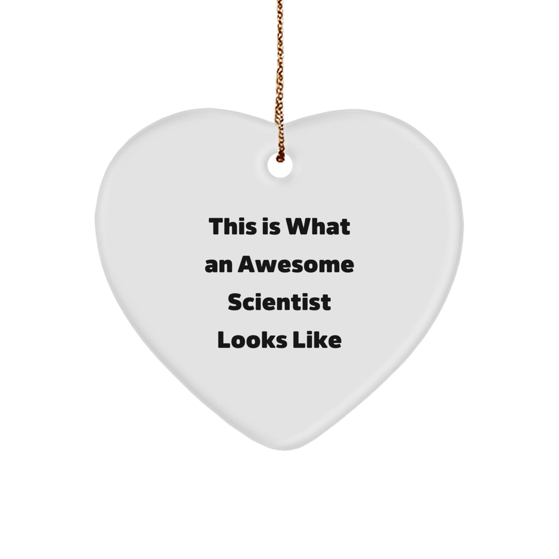 Funny Scientist Gifts from Friends to Awesome Scientist for Christmas Unique Heart Ornaments - Image 1