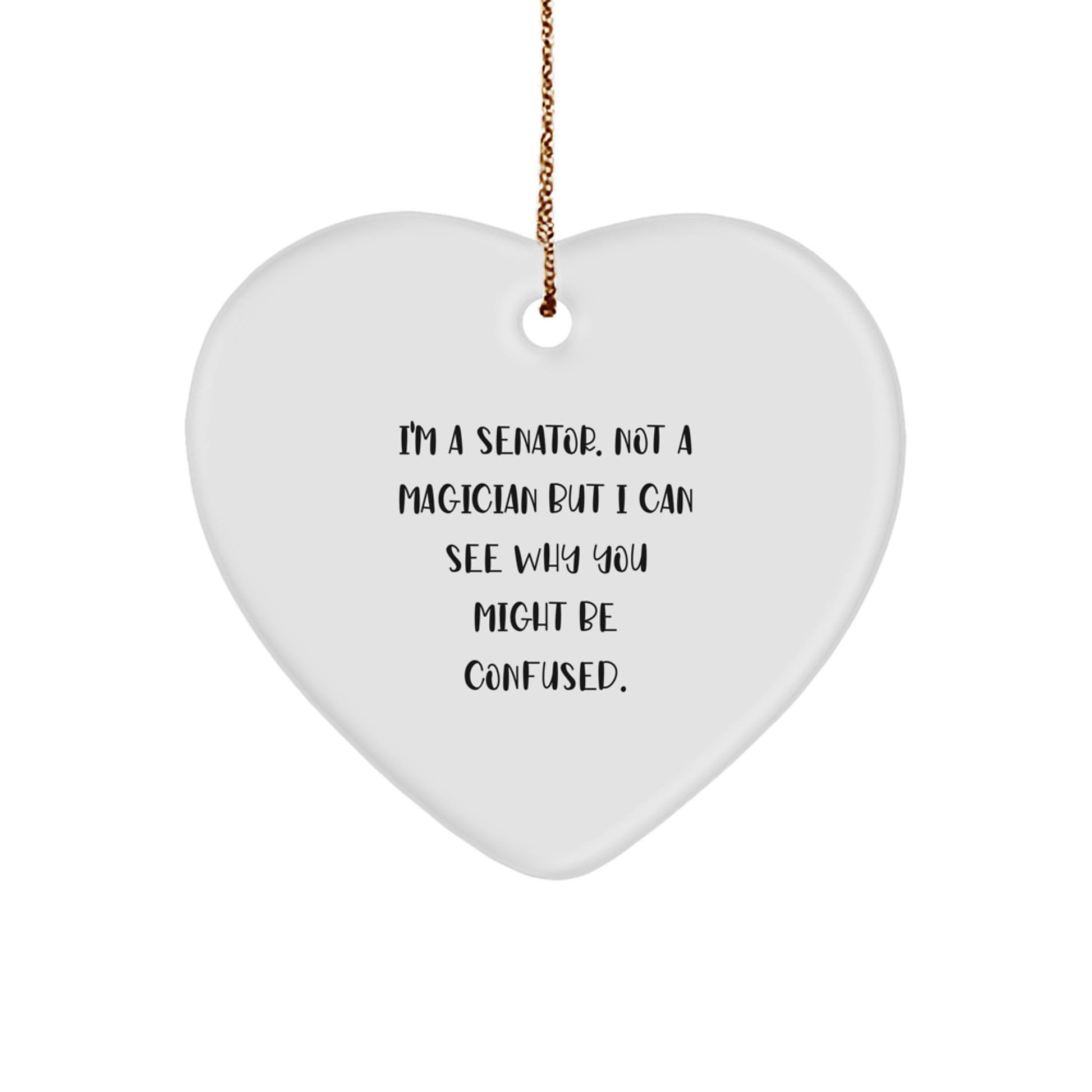 Heartfelt Senator Gifts from Men - Funny Christmas Unique Gifts for Senator Friends Coworkers - Image 1