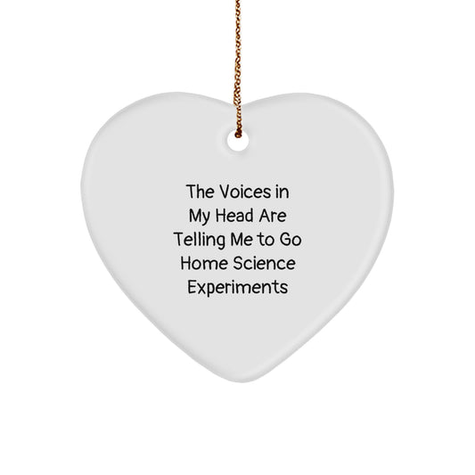 Funny Home Science Experiments Heart Ornament Gifts from Friends for Family Christmas Unique Decorations, The Voices In My Head Are Telling Me To Go Home Science Experiments - Image 1
