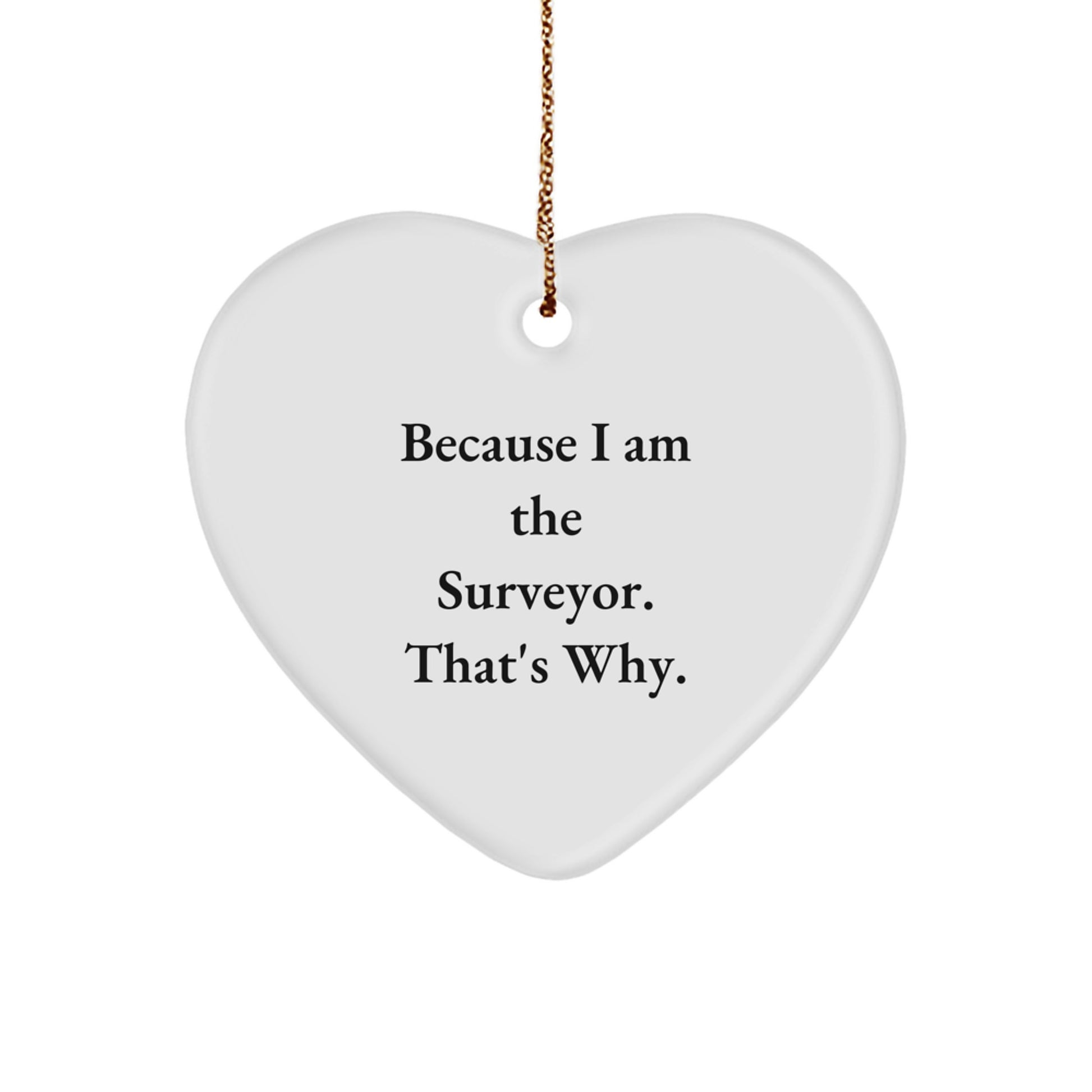Funny Gifts for Surveyor - Heart Ornament Because I Am The Surveyor. That's Why. from Men, Women, Friends, Coworkers, Family to Surveyor, Men, Women, Friends, Coworkers, Family at Christmas - Image 1