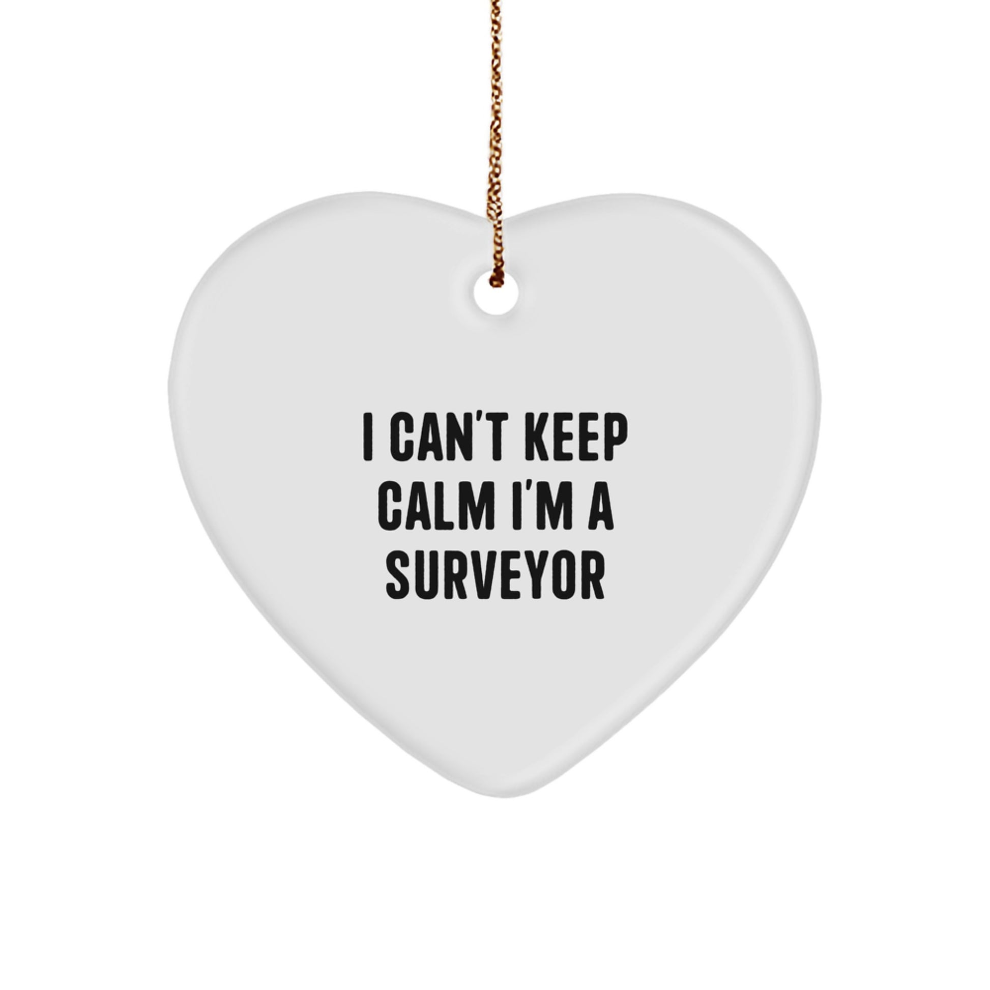 Funny Surveyor Gifts for Men - I Can't Keep Calm Heart Ornament from Friends - Image 1