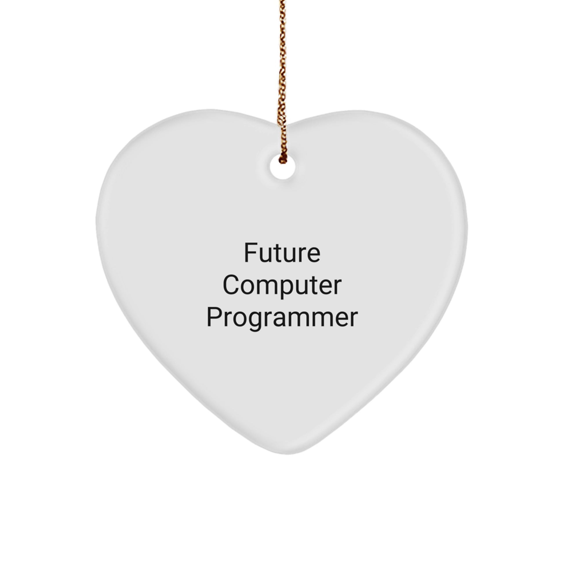 Funny Computer Programmer Heart Ornament Gifts from Friends to Future Computer Programmer Men, Heart Shaped Decorations for Christmas Unique Gifts - Image 1
