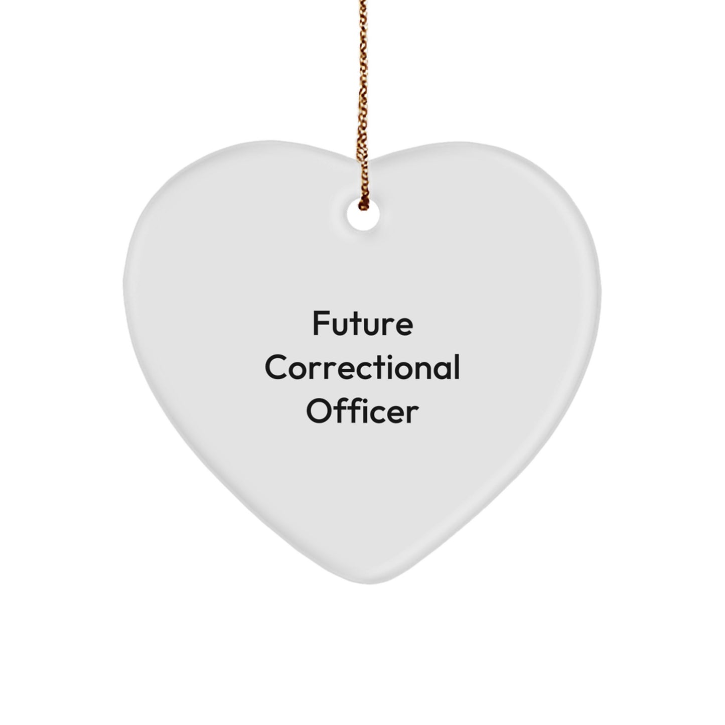 Gifts from Friends to Future Correctional Officers, Funny Heart Ornament for Correctional Officer Christmas, 'May the Struggle Be Real, But the Heart Be Light' - Image 1