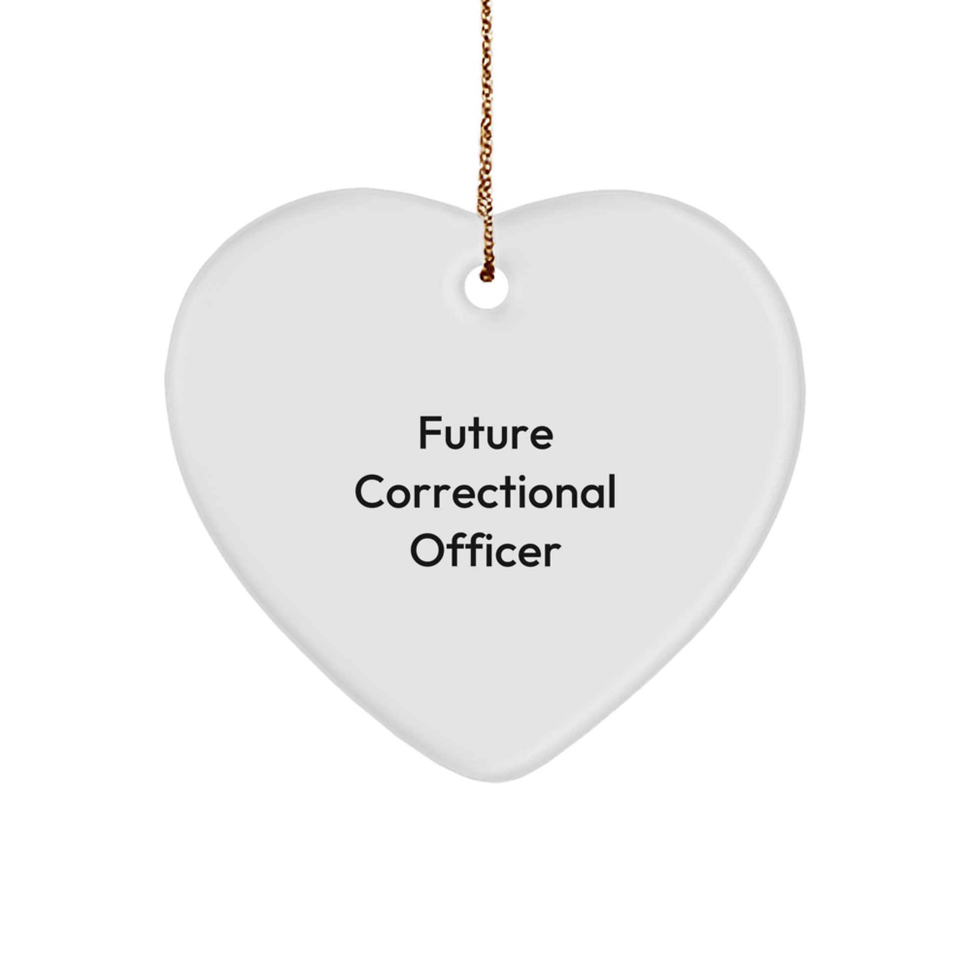 Gifts from Friends to Future Correctional Officers, Funny Heart Ornament for Correctional Officer Christmas, 'May the Struggle Be Real, But the Heart Be Light' - Image 1