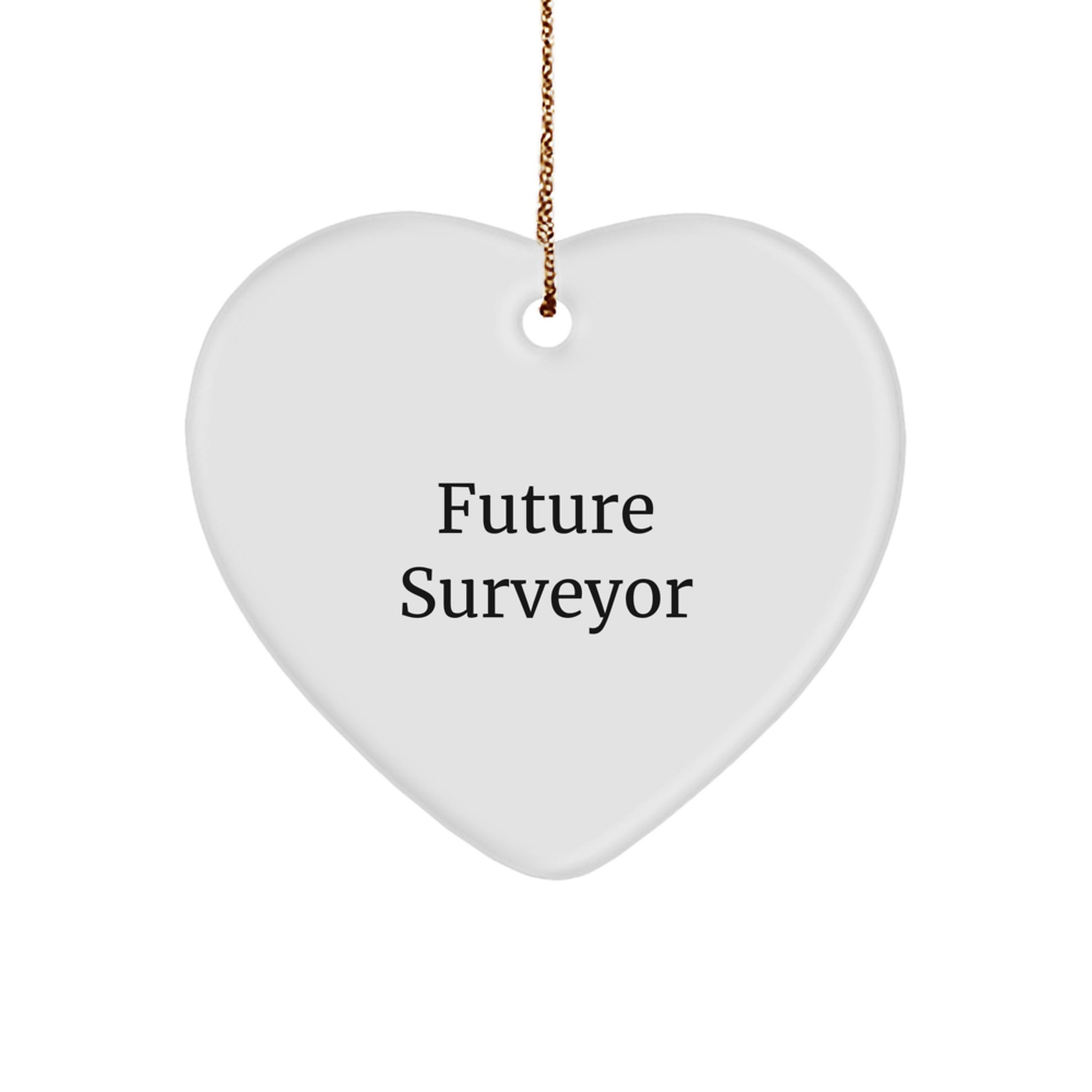 Future Surveyor Heart Ornament, Funny Quote Gifts from Friends, Gifts for Surveyor Men, Unique Christmas Ornaments - Image 1