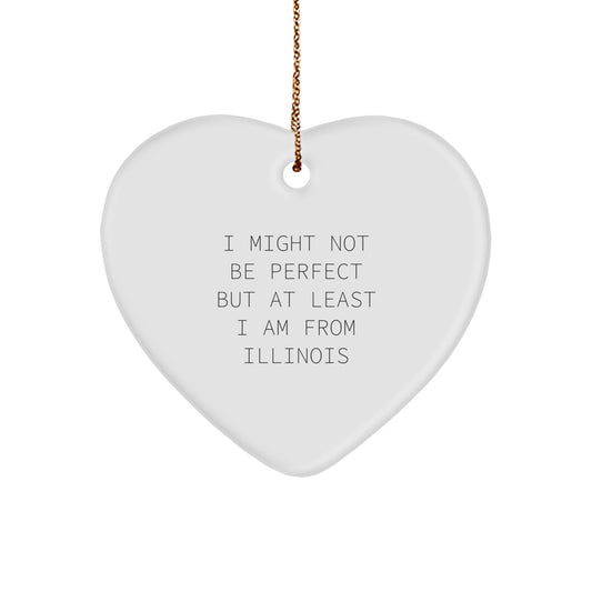 Funny Illinois Heart Ornament Gifts for Illinois Lovers from Friends - Image 1