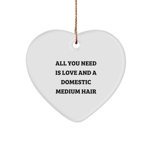 Funny Domestic Medium Hair Gifts for Men Christmas Heart Ornament 'All You Need Is Love And A' from Friends - Image 1