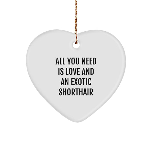 Exotic Shorthair Cat Heart Ornament Gifts from Family, Gifts for Exotic Shorthair Cat Lovers - Funny Quote 'All You Need Is Love And An Exotic Shorthair' - Christmas Unique Gifts - Image 1