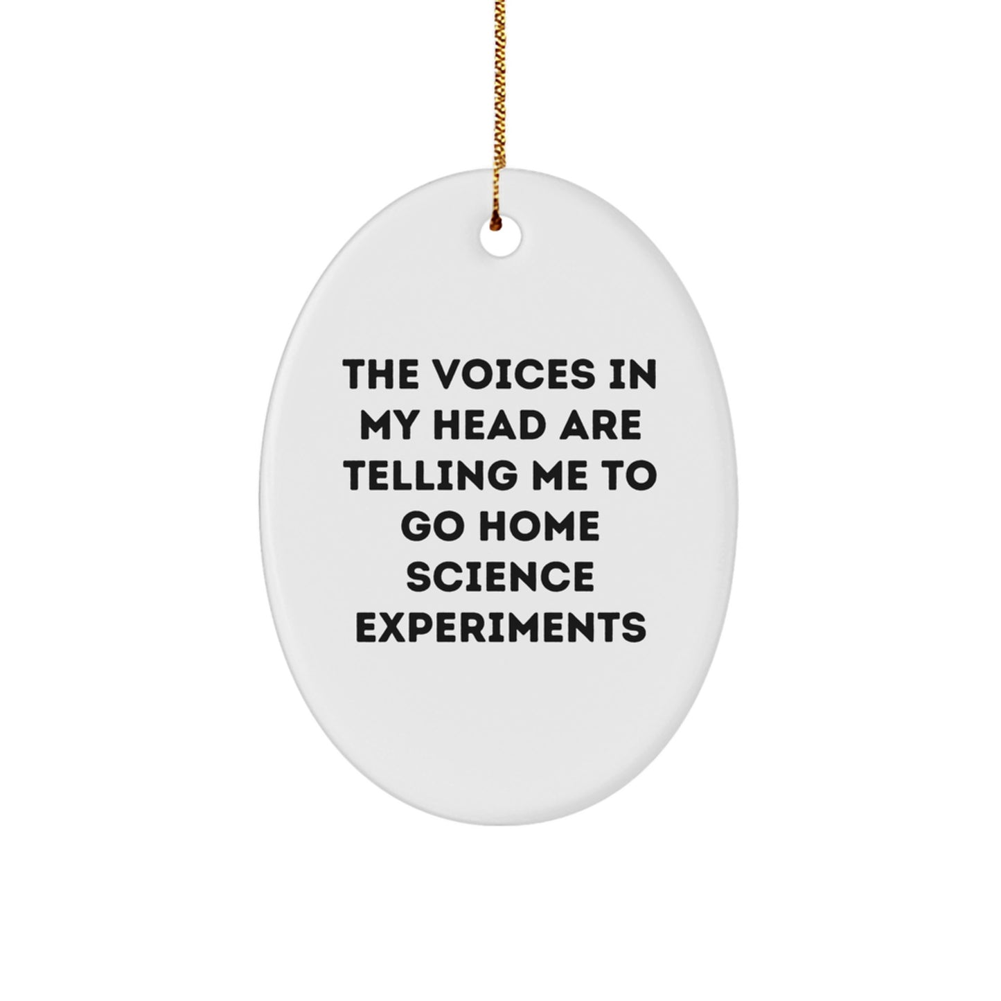Funny Home Science Experiments Oval Ornament Gift for Friends, Funny Christmas Unique Gifts from Men to Home Science Experiment Enthusiasts - Image 1