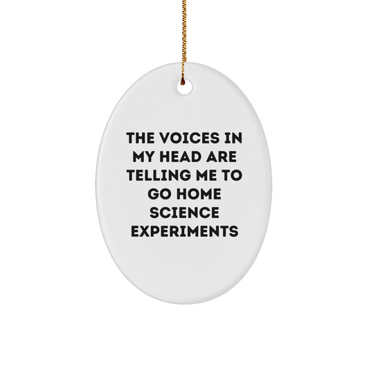 Funny Home Science Experiments Oval Ornament Gift for Friends, Funny Christmas Unique Gifts from Men to Home Science Experiment Enthusiasts - Image 1