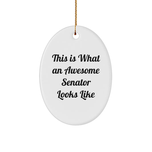Senator Gifts, Funny Oval Ornament, 'This Is What An Awesome Senator Looks Like', White, Christmas Unique Gifts from Family, Friends - Image 1