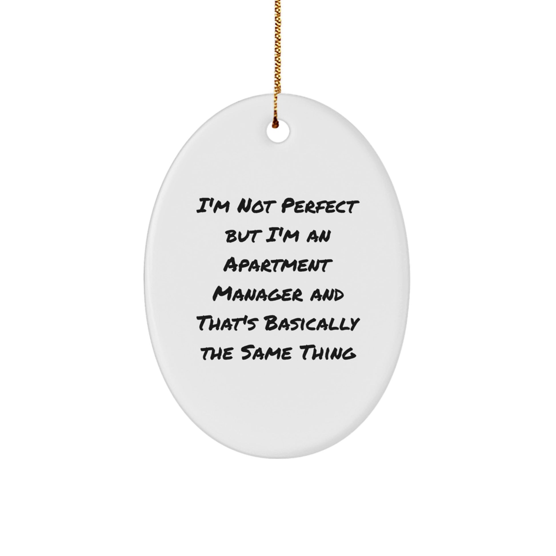 Apartment Manager Gifts for Office Decor Funny Oval Ornament from Friends, Office Apartment Manager Christmas Unique Gifts - Image 1