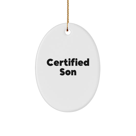 Funny Son Quote Oval Ornament Gifts from Mom Unique Christmas Ornaments for Son Room Decorations - Image 1
