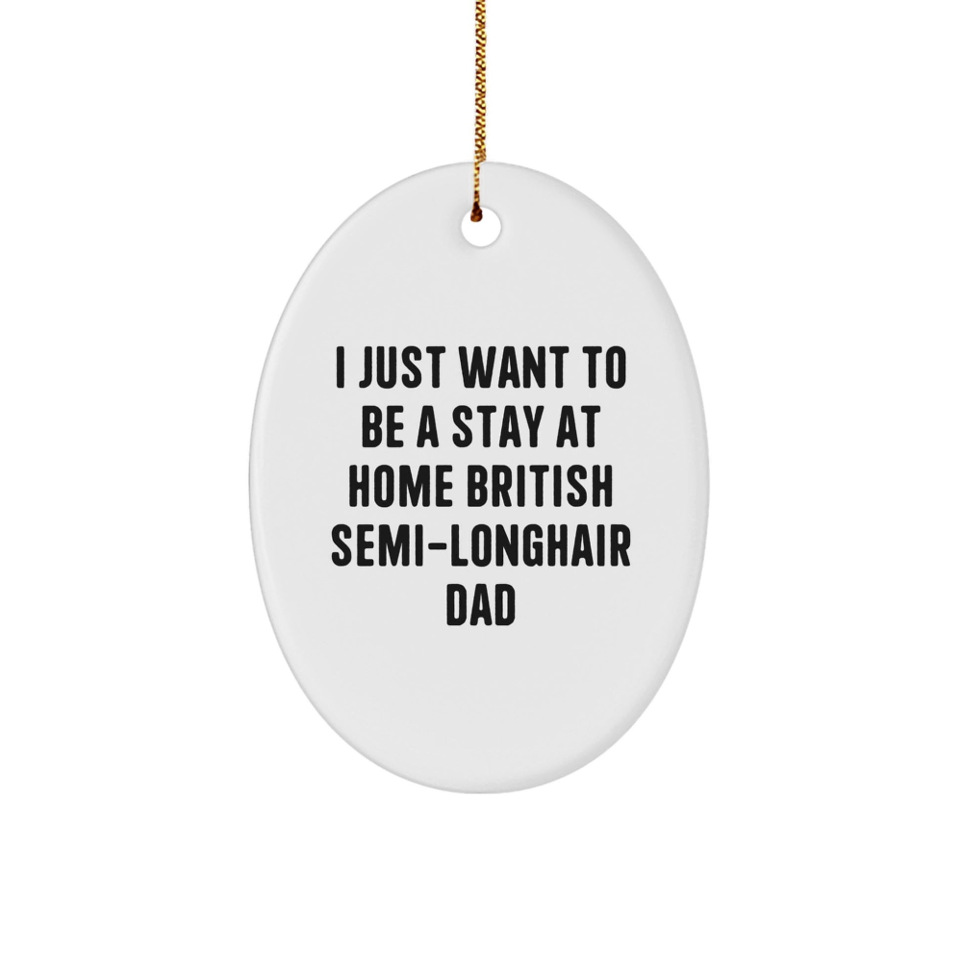 Funny British Semi-Longhair Cat Dad Gifts for Men, Oval Ornament with Gold Cord for British Semi-Longhair Cat Enthusiasts, Unique Christmas Unique Gift Ideas - Image 1