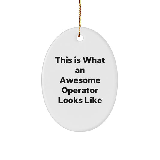 Funny Operator Gifts from Friends, Operator Oval Ornament This Is What An Awesome Operator Looks Like Christmas Unique Gifts for Operator - Image 1