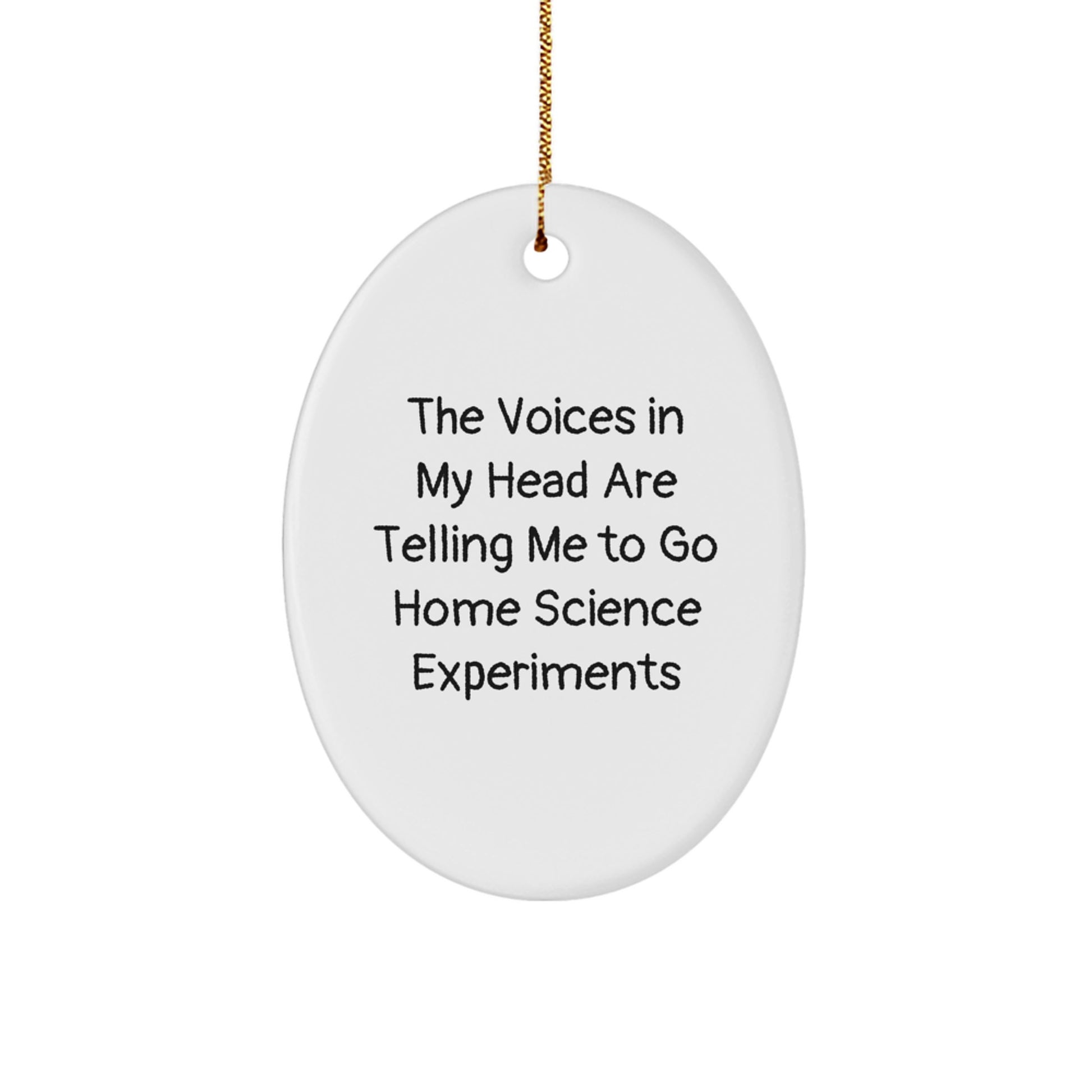 Funny Home Science Experiments Gifts from Friends for Fans of The Voices In My Head Are Telling Me To Go Home Science Experiments Oval Ornament for Christmas - Image 1