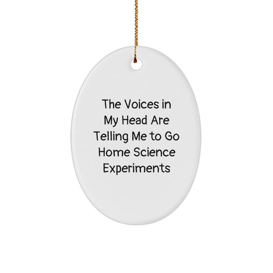 Funny Home Science Experiments Gifts from Friends for Fans of The Voices In My Head Are Telling Me To Go Home Science Experiments Oval Ornament for Christmas - Image 1
