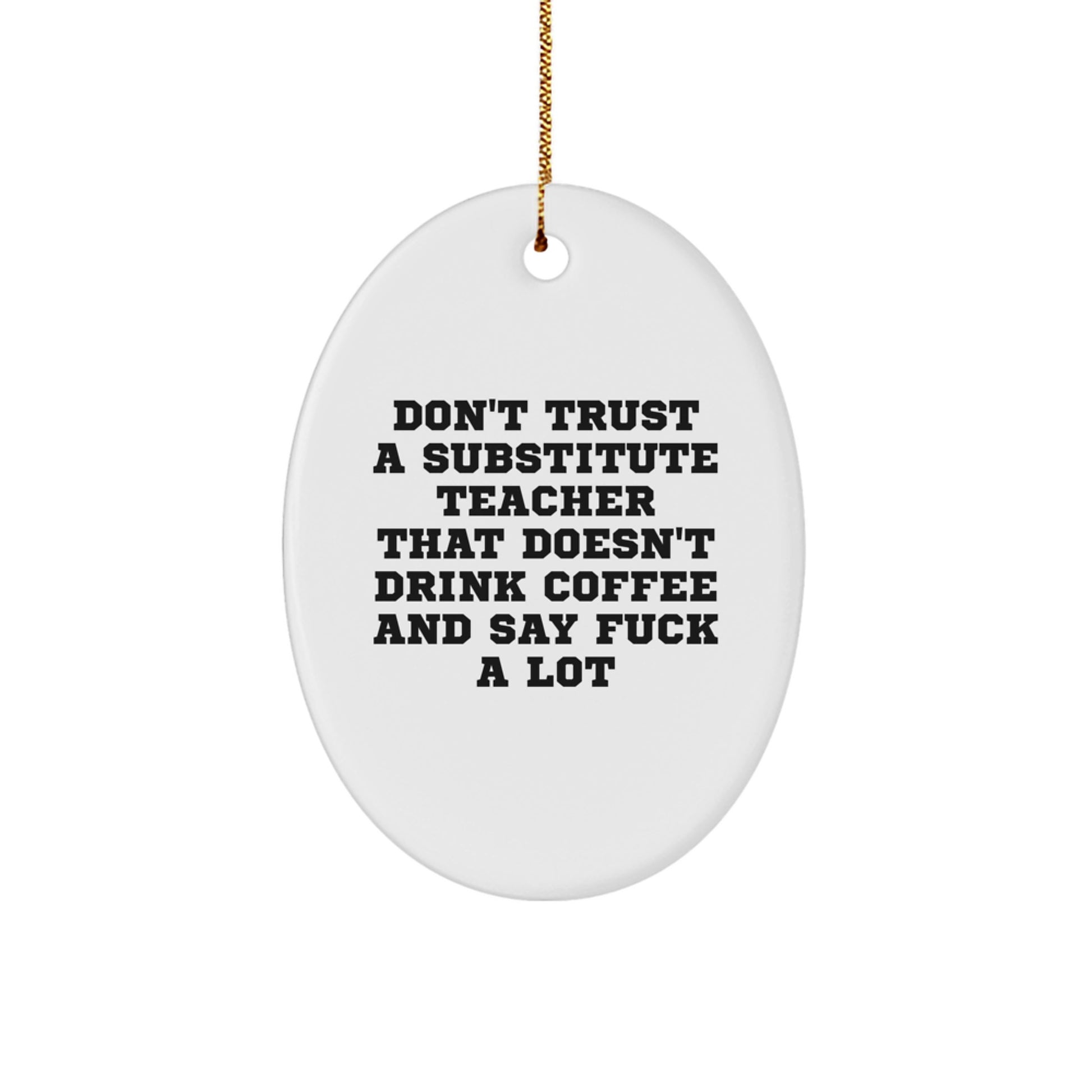 Funny Substitute Teacher Oval Ornament, 'Don't Trust a Substitute Teacher...' - Gifts for Substitute Teachers from Friends, Coworkers, or Family - Image 1