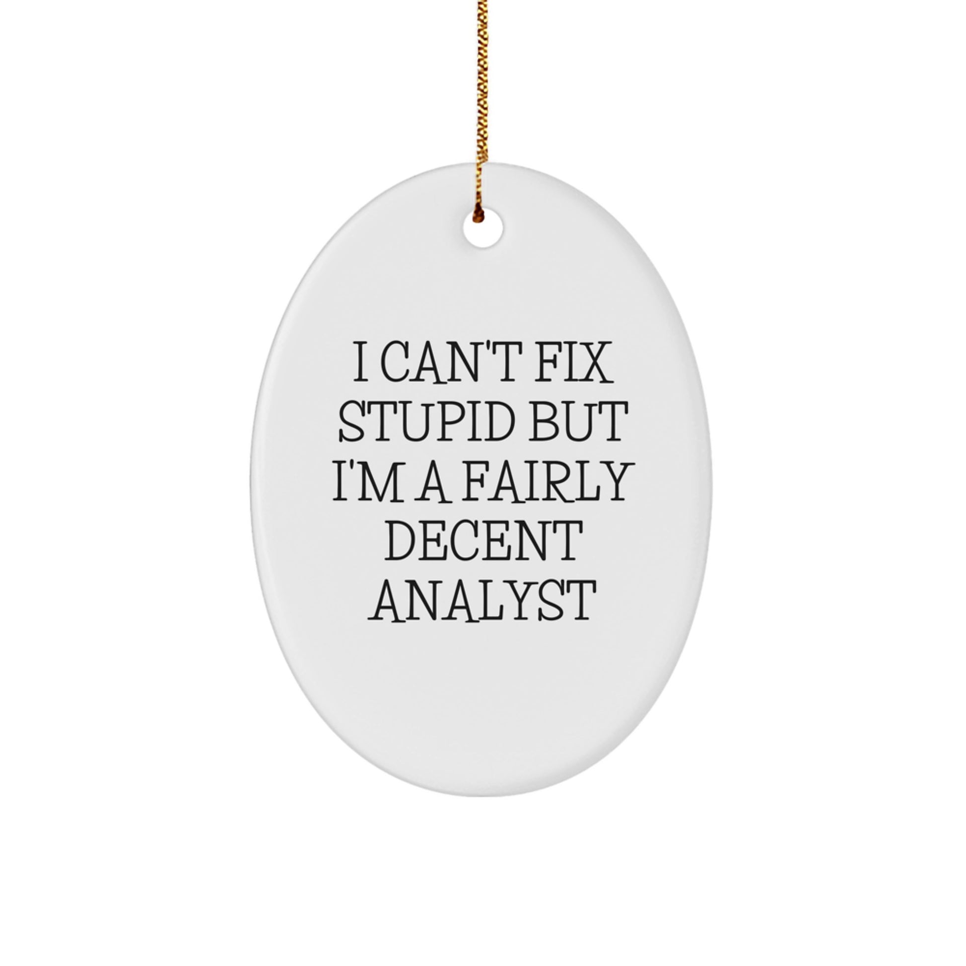 Funny Analyst Gifts for Christmas - Oval Ornament - 'I Can't Fix Stupid But I'm A Fairly Decent Analyst' - Gifts from Friends to Family - Image 1