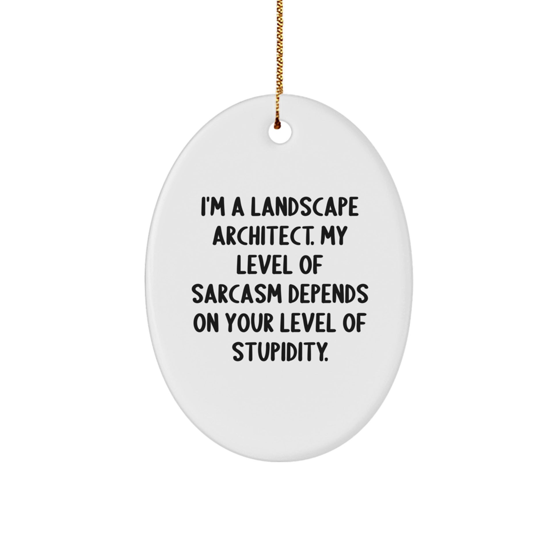 Funny Landscape Architect Gifts for Men - Oval Ornament with 'I'm A Landscape Architect. My Level Of Sarcasm Depends On Your Level Of Stupidity.' Quote, Christmas Unique Gifts from Friends - Image 1