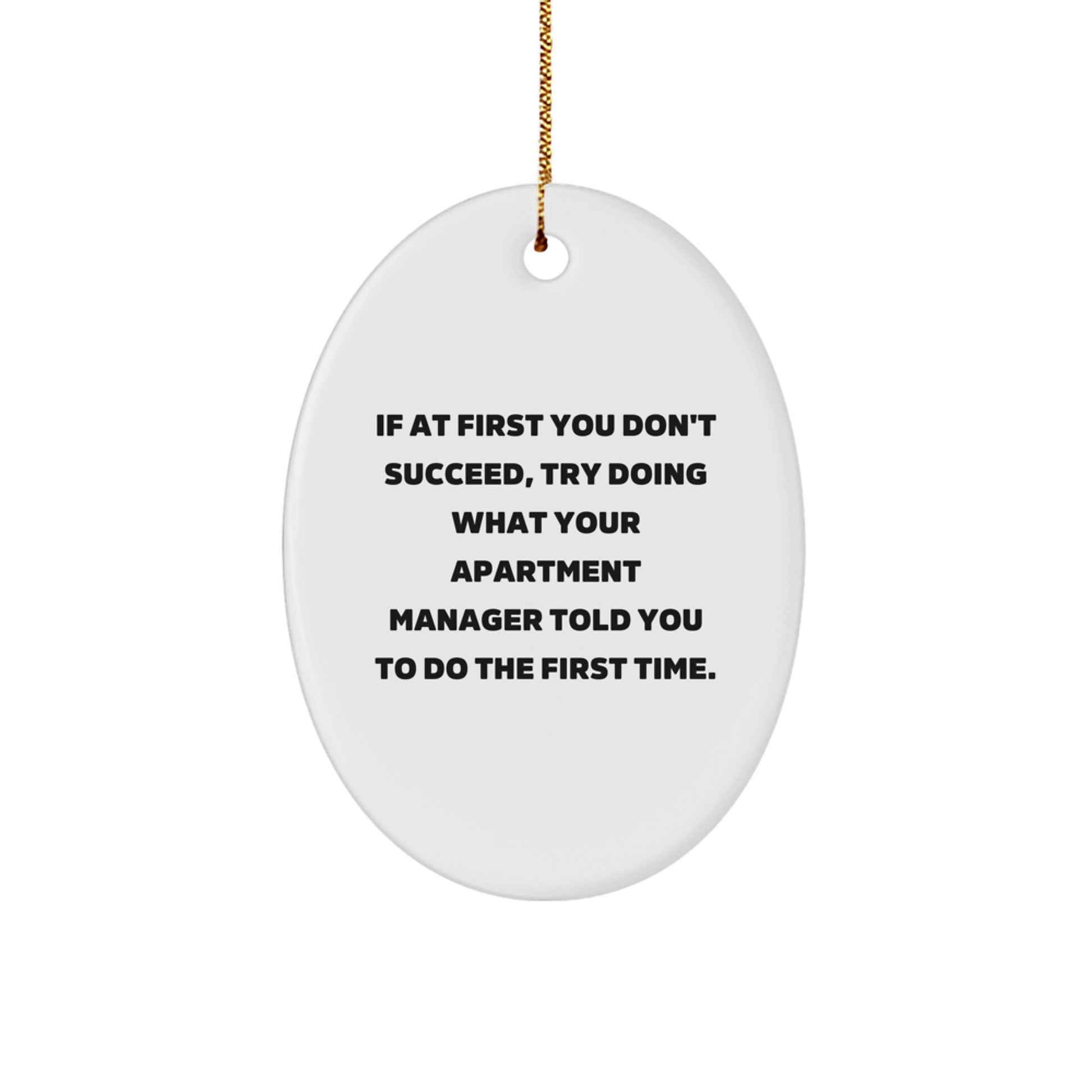Funny Apartment Manager Gifts, Oval Ornament, If At First You Don't Succeed, Gifts from Family for Apartment Manager - Image 1