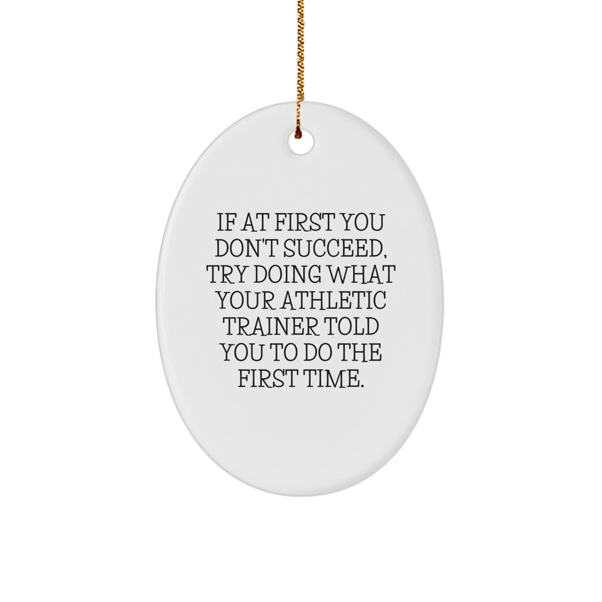 Funny Oval Ornament Gifts from Family for Athletic Trainer Christmas - If At First You Don't Succeed Try Doing What Your Athletic Trainer Told You, Funny Oval Ornament - Image 1