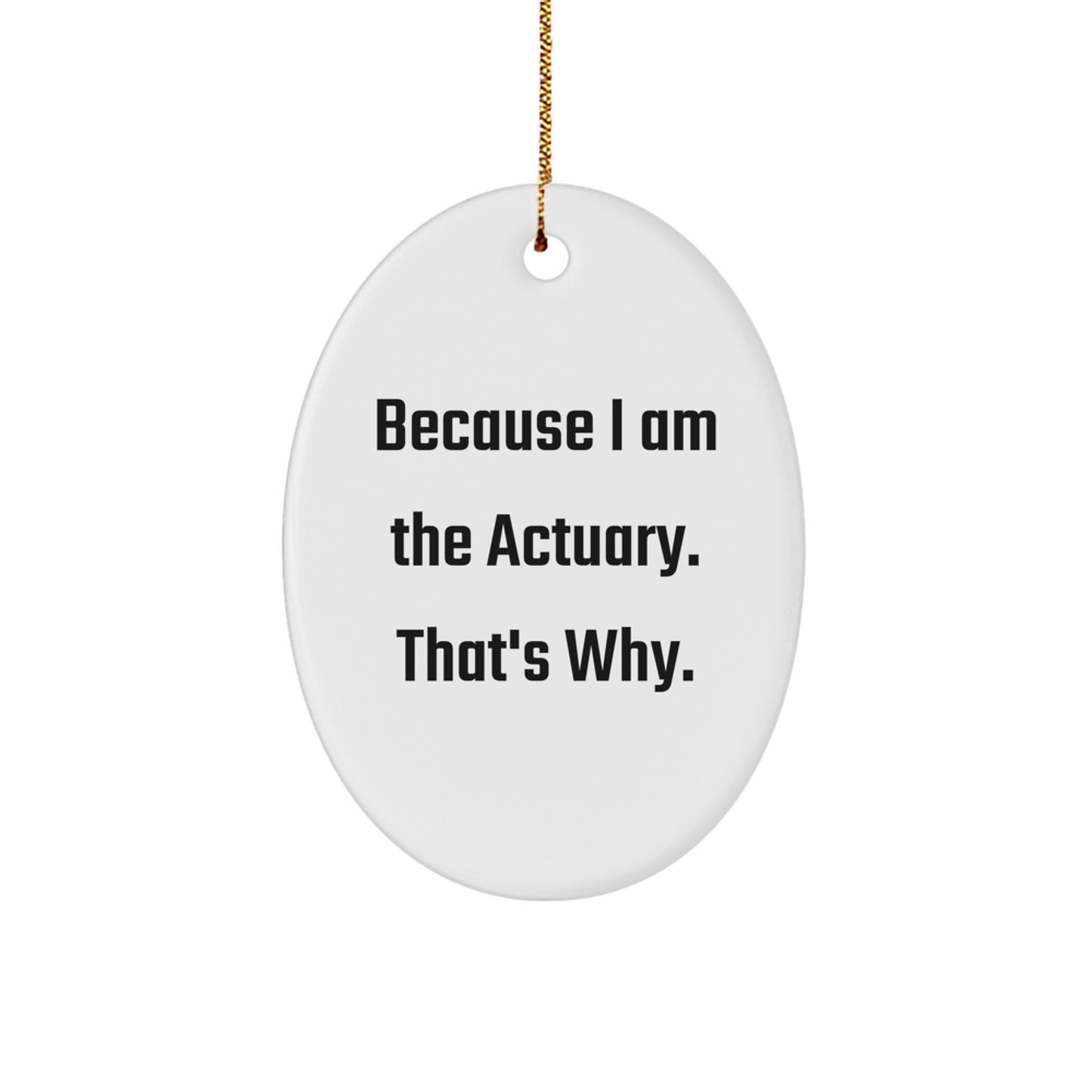 Funny Actuary Oval Ornament Gifts from Friends and Family for Actuary Men and Women, Because I Am The Actuary. That's Why. - Image 1
