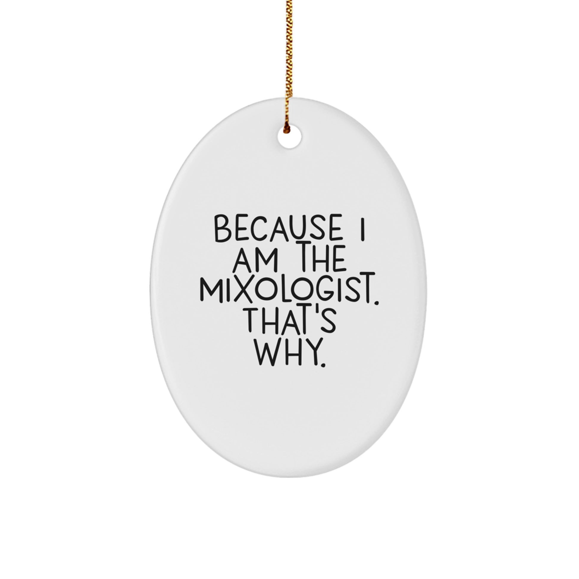 Funny Mixologist Gifts for Him from Friends, Oval Ornament Quote That's Why, Christmas Unique Presents - Image 1